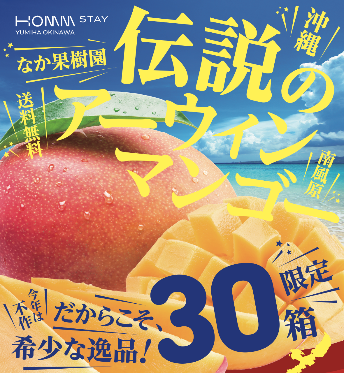 【半額セール】【送料無料】沖縄産 伝説のアーウィンマンゴー なか果樹園 1kg相当【日本国内配送のみ】