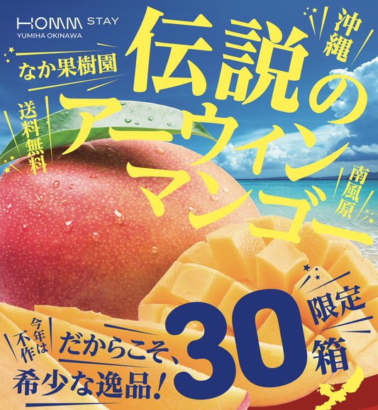 【半額セール】【送料無料】沖縄産 伝説のアーウィンマンゴー なか果樹園  1kg相当【日本国内配送のみ】